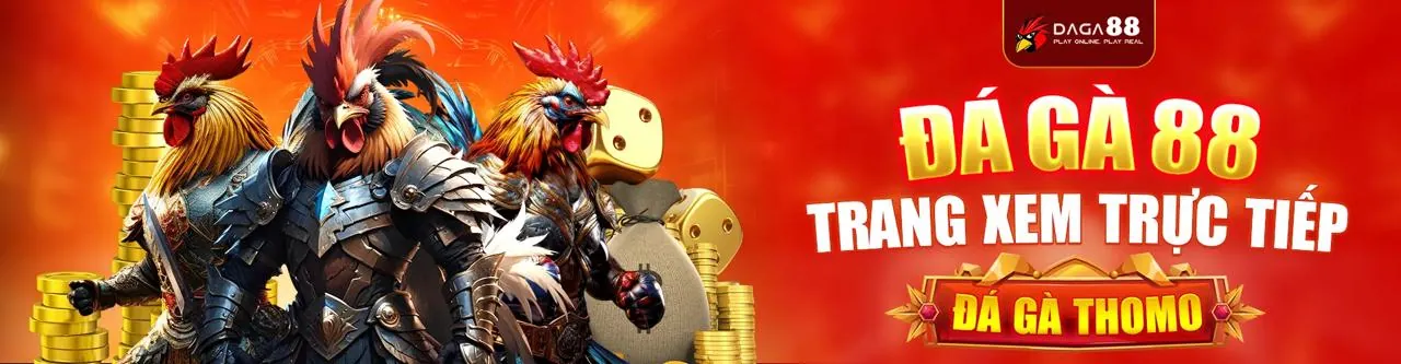 Người chơi sử dụng mã 8kbet8 trên điện thoại